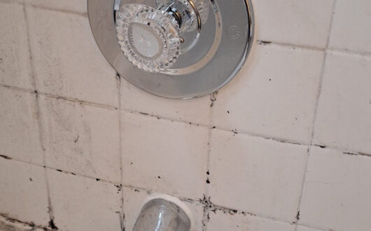 Shower valve repaired