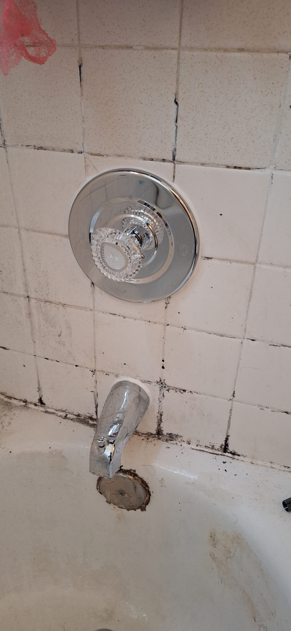 Shower valve repaired