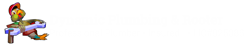 Dynamic Plumbing & Rooter LLC